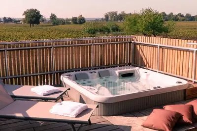 Image de Gîte de Charme, vue sur Vignoble