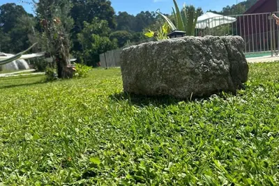 Image de Carvalho Village - No Alojamento o Silencio Mistura-se com a Natureza