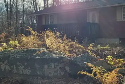 Image de Autumn Moon Cabin, a nostalgic & cozy home w\/in walking distance to amenities.