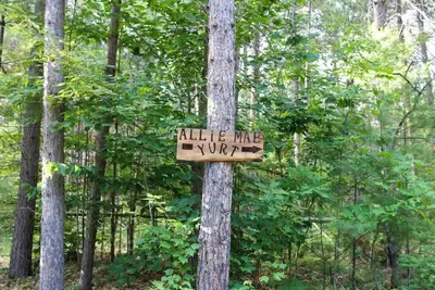 Image de Allie Mae Yurt nestled in the woods