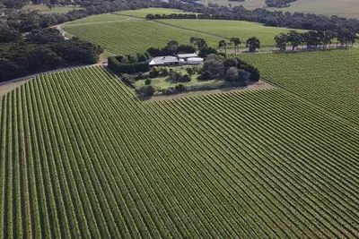 Image de Vineyard Lane Winery Escape