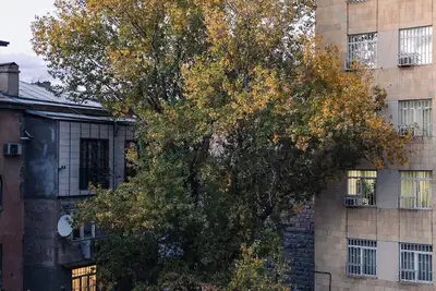 Image de Studio Lux Retreat/Terrace Oasis/City heart