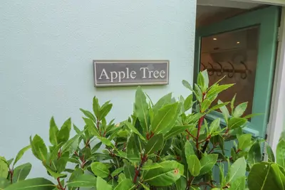 Apple Tree Cottage, pet friendly, with a garden in Appledore