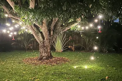 Image de Mango House is a newly renovated home with a tropical design. Walk to the beach.
