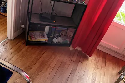 Image de Chambre dans un quartier au calme