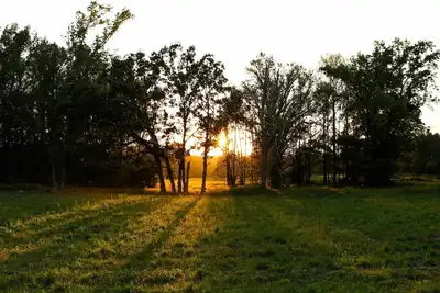 Image de Quiet country home on a homestead farm