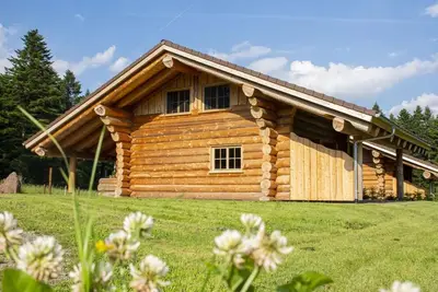 Image de Maison de vacances 'Hofblick' avec terrasse privée, jardin privé et Wi-Fi