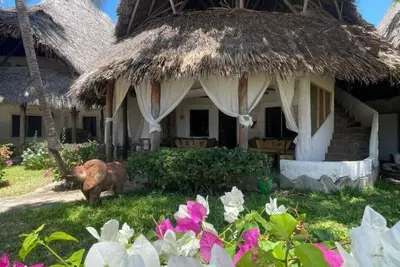 Image de Kaleb's Beachfront Villa