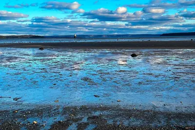 Image de Baywatch Cottage at South Bay in Lubec. Deck. Beach. . 7 miles from downtown
