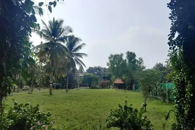 Image de Reconnect with nature- escape to chakra farms amidst coconut groove\n