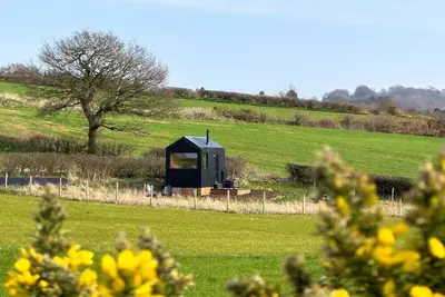 Image de Secluded Woodland Romantic Off-Grid Cabin With Firepit