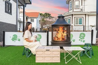 Image de Anmyeondo Town 1967 Dog Pool Villa