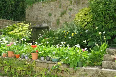 Image de Port d' Audierne appartement rez de chaussée avec jardin