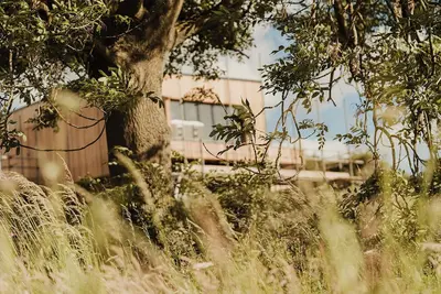 Image de Nuthatch Elevated Treehouse