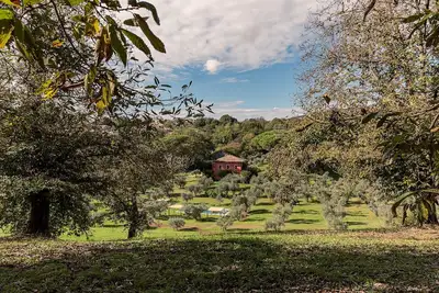 Une atmosphère naturelle enveloppante, à savourer avec vos proches.