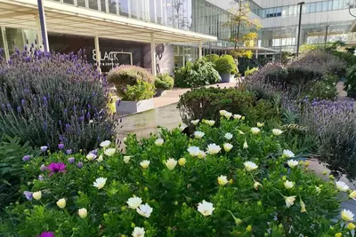 Image de Polanco y Periférico Para Ejecutivos