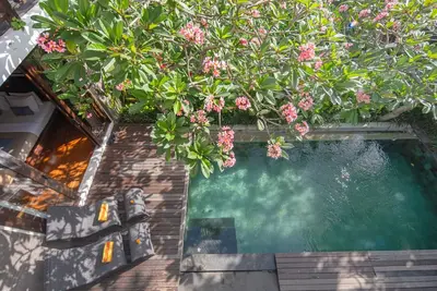 Image de Cozy 3 Bedroom Pool Villa in Canggu