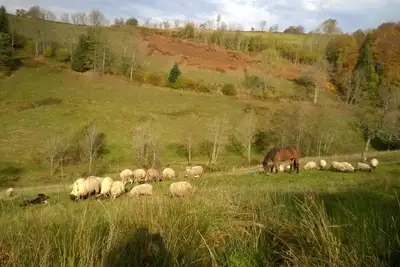 Image de L' harmonie :les animaux, la nature et la montagne. Loin du stress du quotidien