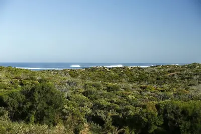 Image de Perched above Margaret River’s famous Gnarabup Beach