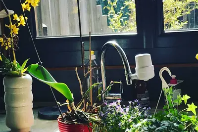 Image de Maison avec jardin Ă Montreuil proche de la ligne 11 et des Jo.