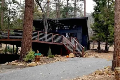 Image de Shady Pines