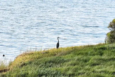 Image de Rockport'S Best View And Location! - Aly-Kats Flip Flop Flat