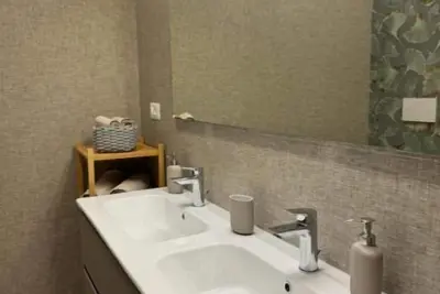 Image de Alocasia Luxury Stay