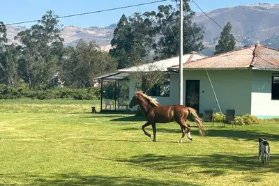 Image de Grandfather´s Farm - Disfruta de la Naturaleza en un Lindo Flat