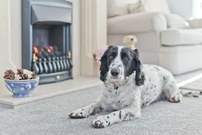 Image de Stunning Cottage in Idyllic Location, England Cottage 1396