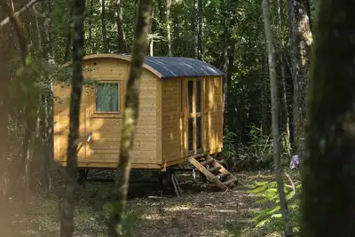 Image de roulotte en bois dans le calme en foret