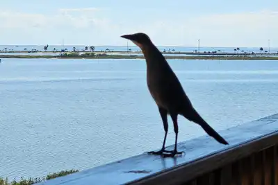 Image de Rockport'S Best View And Location! - Summer's Little Bay Getaway - On the Water!