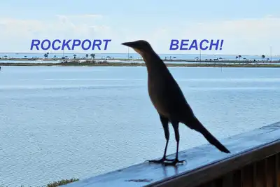 Image de Rockport'S Best View And Location! ! - The Pigeon House - Upper Floor