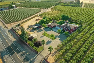 Cherry-tree-lined country escape with a pool