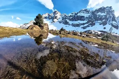 Image de Mimosa 3 - Tucasaenlospirineos