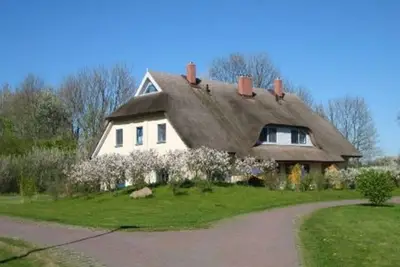 Image de Reetdachhaus Malve 2 - Ferienhaus Malve 2 im Feriendorf Puddemin