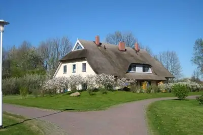 Image de Ferienhaus Malve 2 im Feriendorf Puddemin