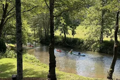 Image de Adorable, cozy, waterfront cabin on the River, fish, kayak, tube from property.