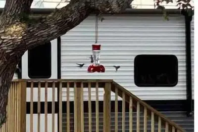 Image de “Whooperazzi” The Sunrise Bay View Camper