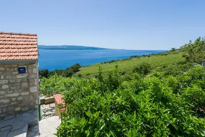Image de Appartements Nada (97951-A3) - Bol - île de Brac