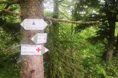 Image de Be active in the Natural Park of Apuseni