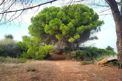 Image de S'échapper pour des vacances de rêves