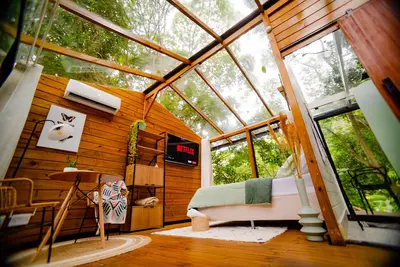 Image de Aconchegante Cabana de Vidro na Floresta