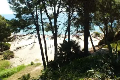 Image de Appartement en Front de Mer avec Terrasse à Miami Playa