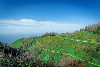 Image de Home Thomas - Calheta o Conforto na Natureza