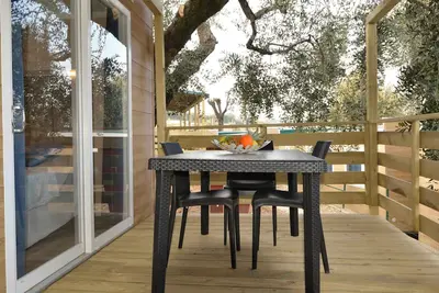 Image de Maison mobile avec terrasse, piscine et climatisation