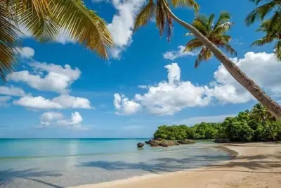 Image de {The~Palms~View} @PlayaBonita +Beachfront+Pool+Bbq