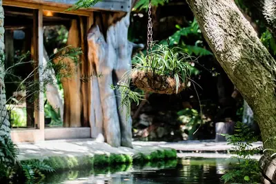 Image de Wonderland Cape Town