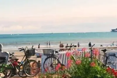 Image de Vue mer La baule « Une marguerite face à l’Océan »