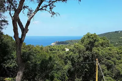 Villa ai Pini - Procchio - Villa ai Pini - Procchio - Open Space
