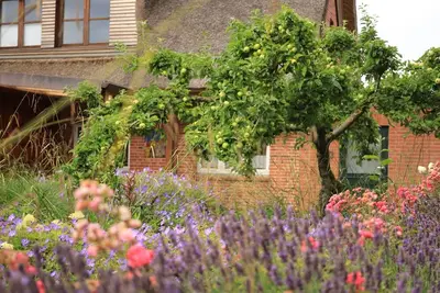Image de Studio 'Lüttdeel' avec terrasse privée, jardin privé et Wi-Fi